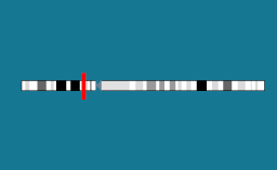 Gène NPR2 sur le chromosome 9